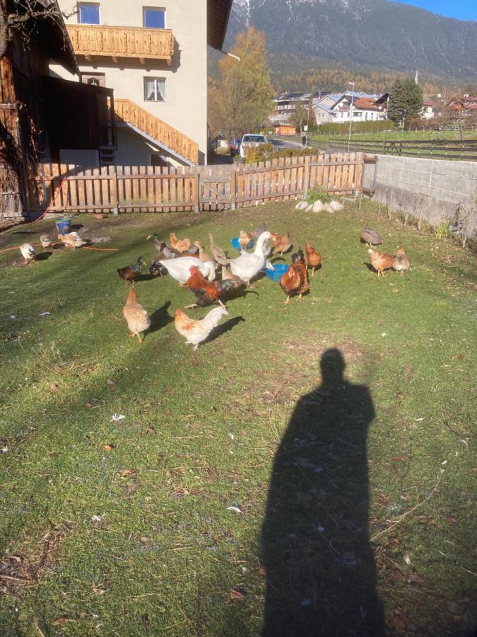 Haus File * Imst